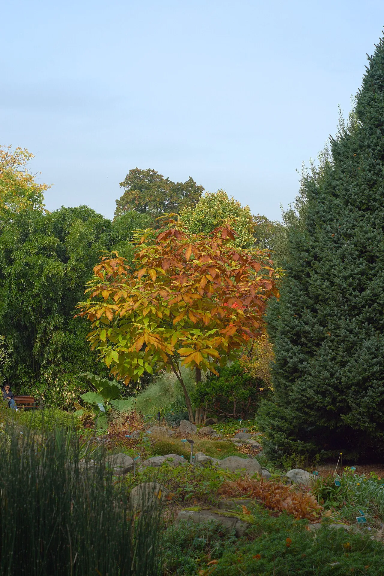 Lund University Botanical Garden