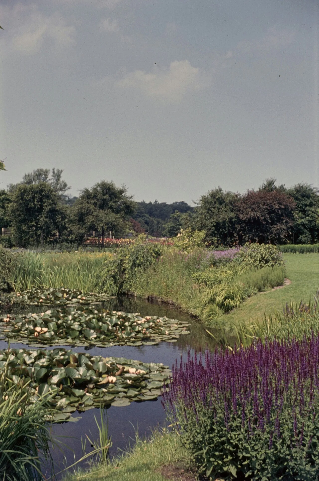 Westbroek Park