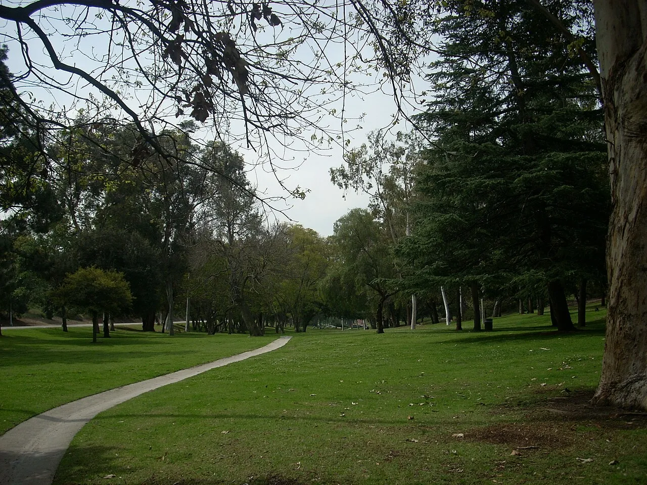 Elysian Park