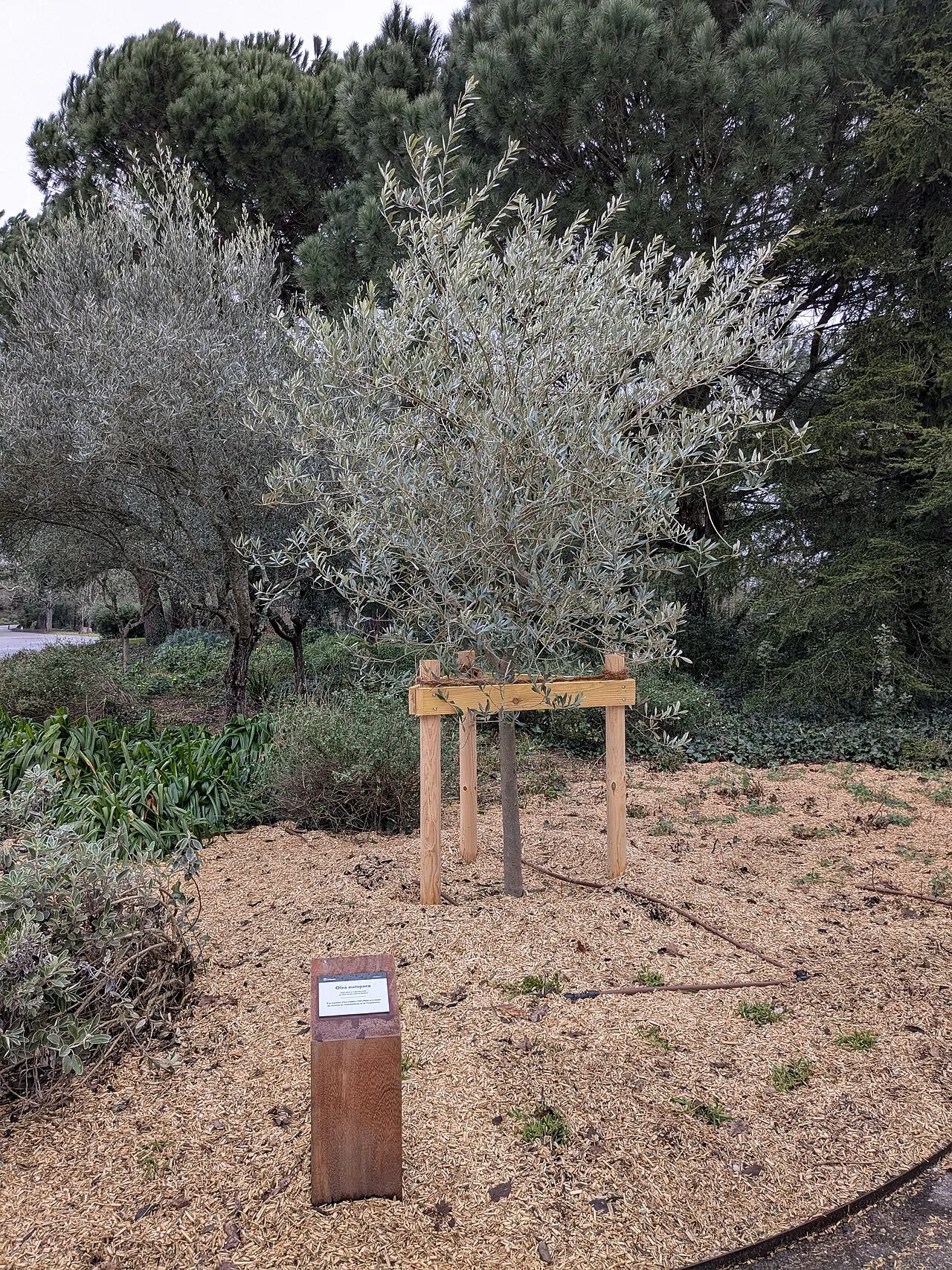 Parc Bordelais