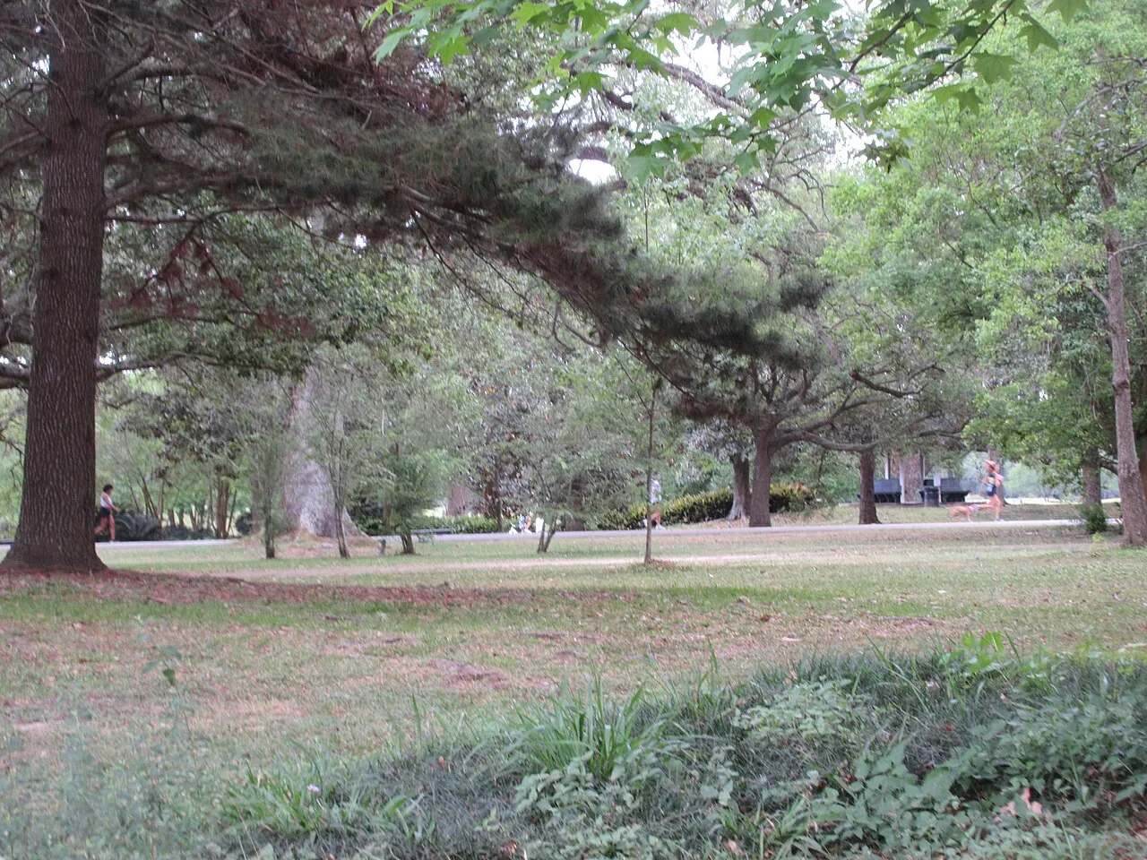 Audubon Park