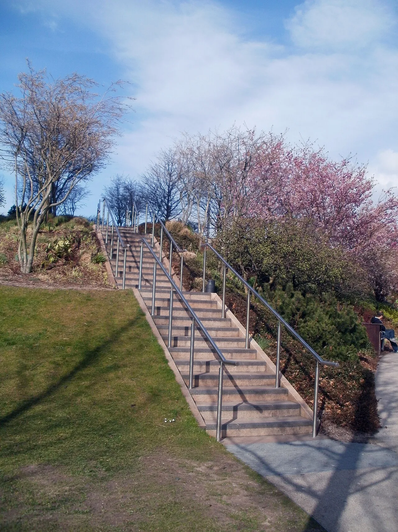 Chavasse Park