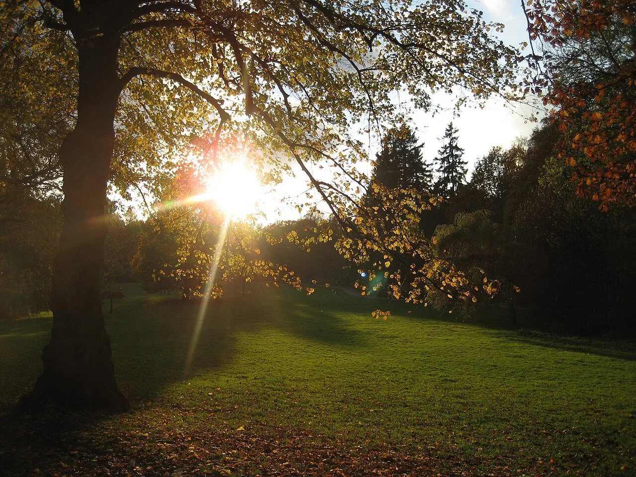 Slottsskogen