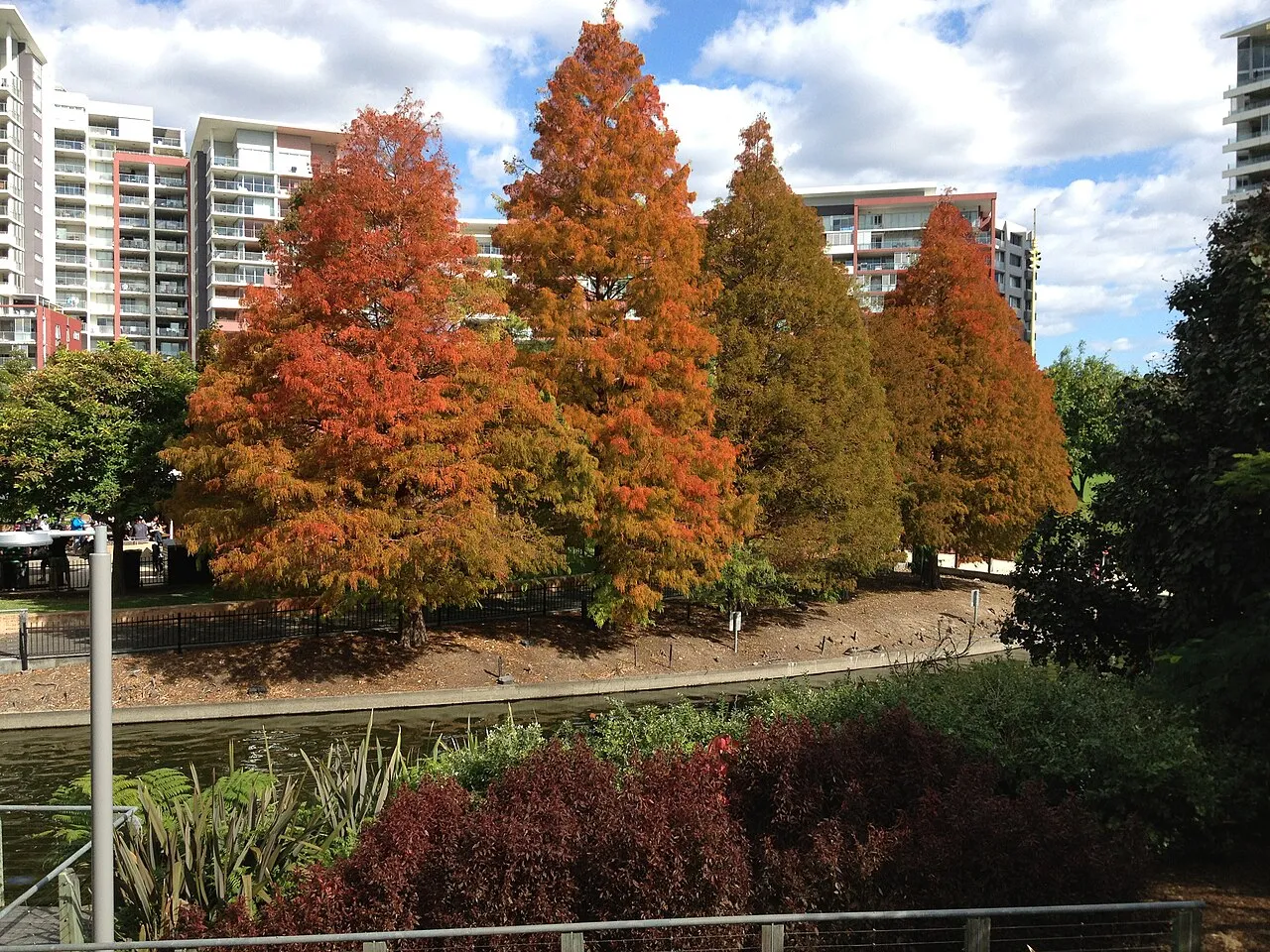 Roma Street Parkland
