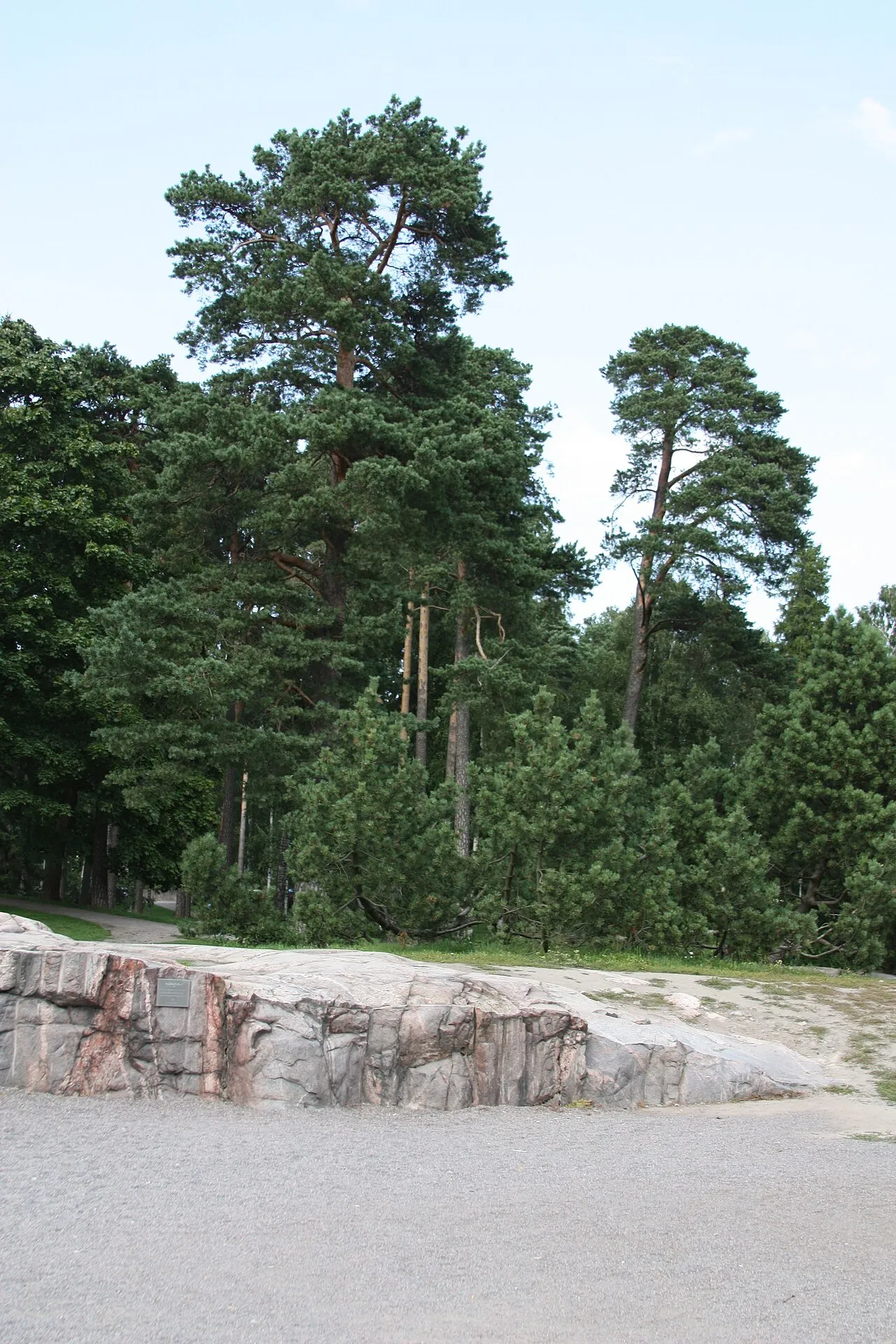 Sibelius Park