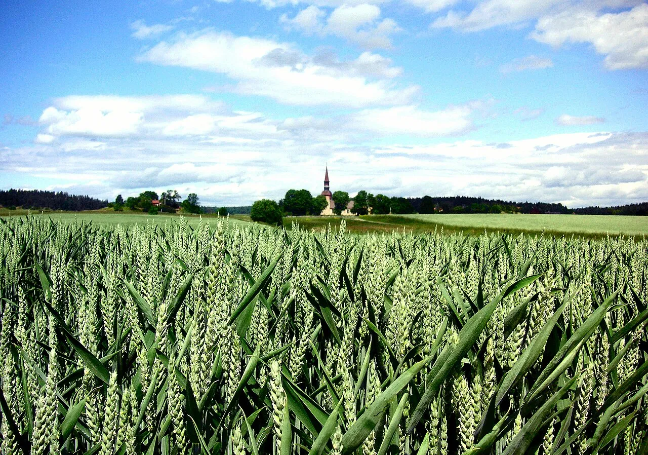 Lovö church