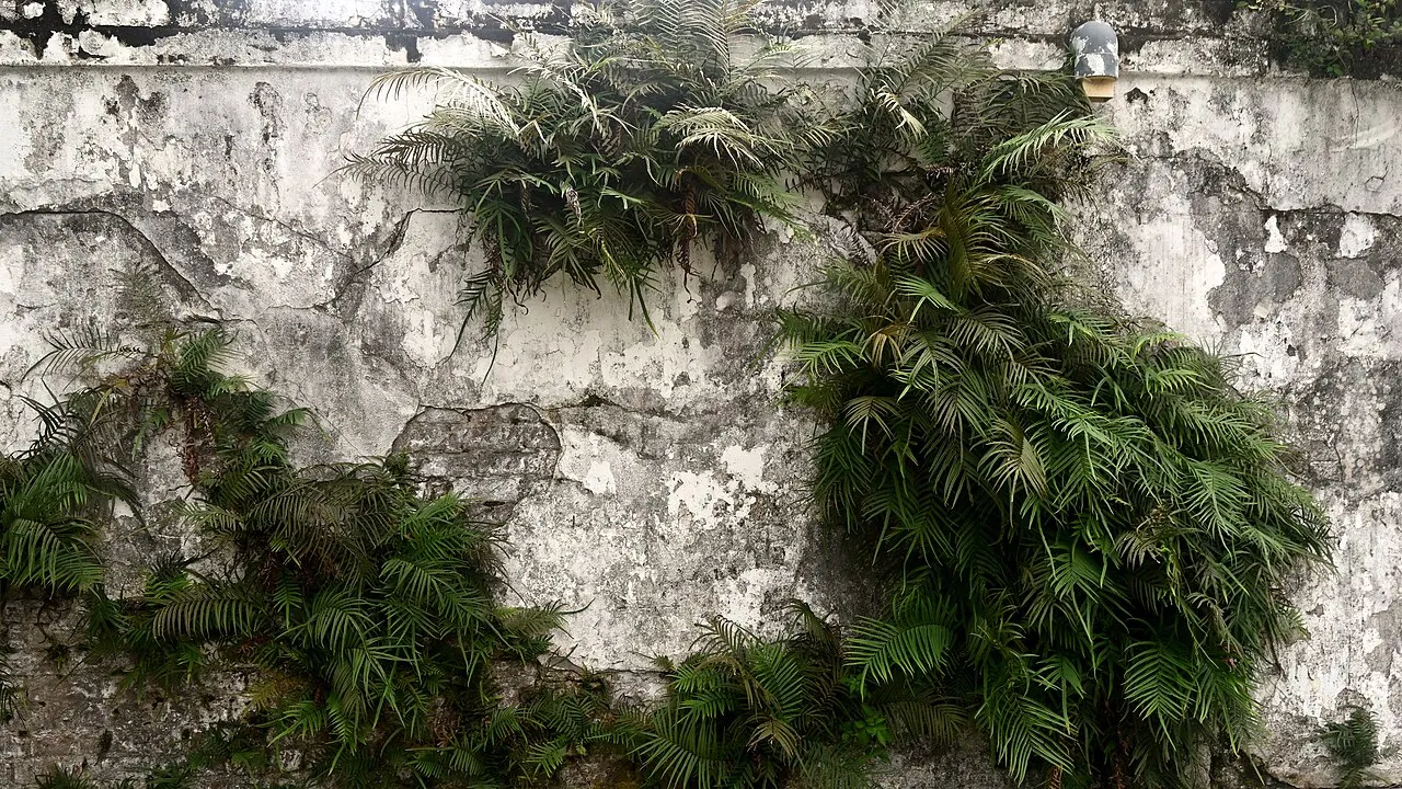 Lafayette Cemetery No. 1