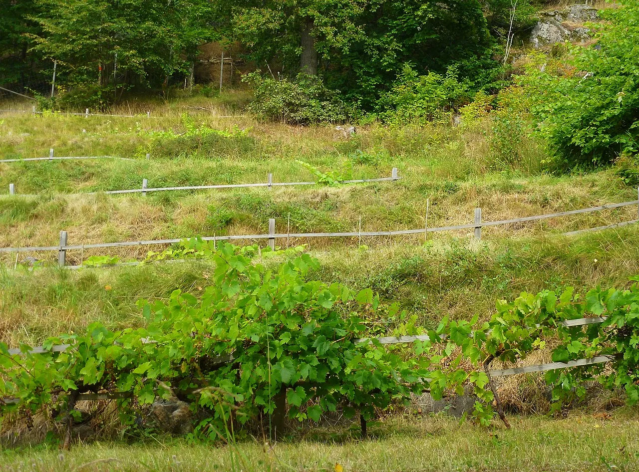 Velamsunds gård