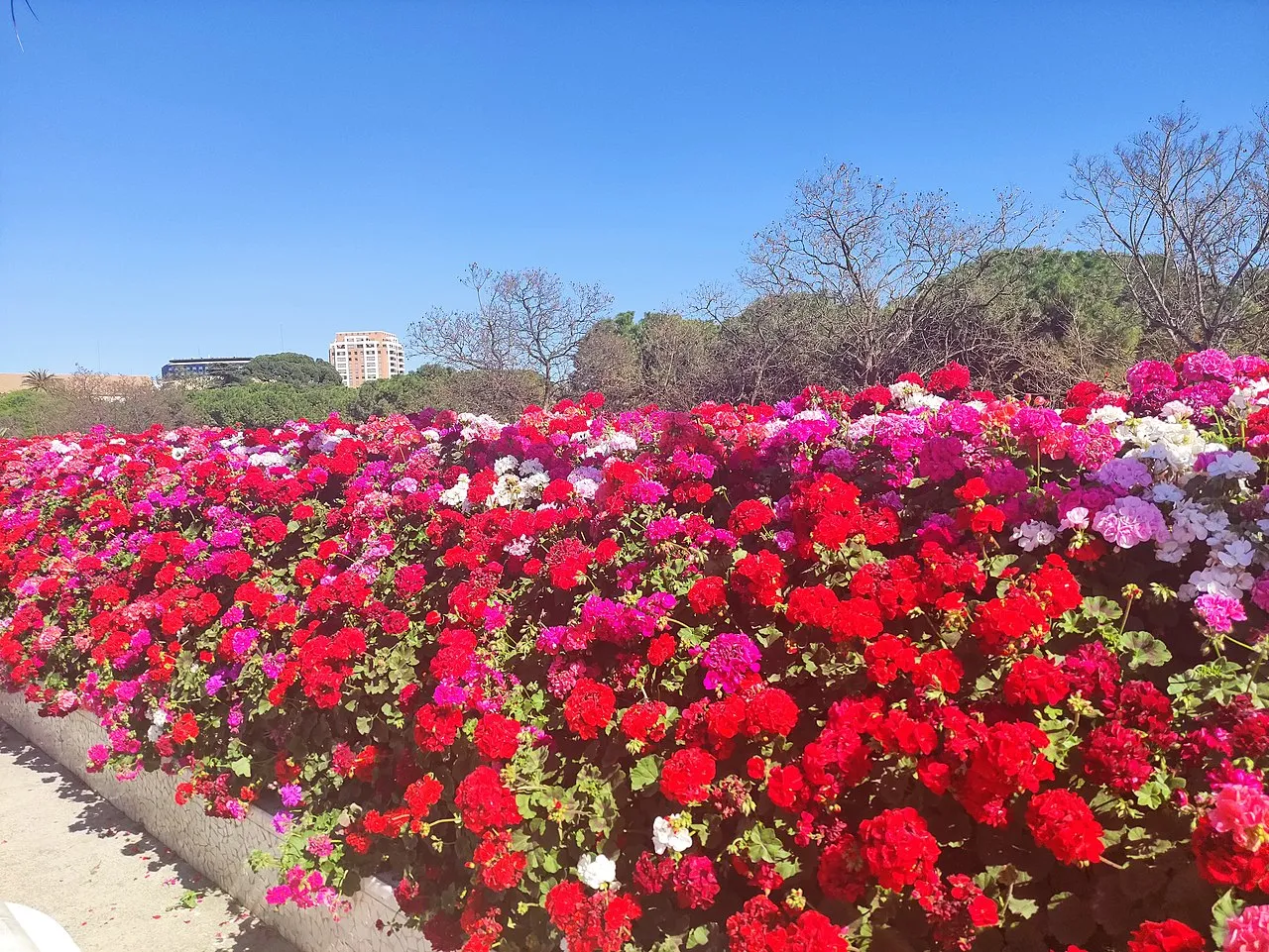 Bridge of Flowers