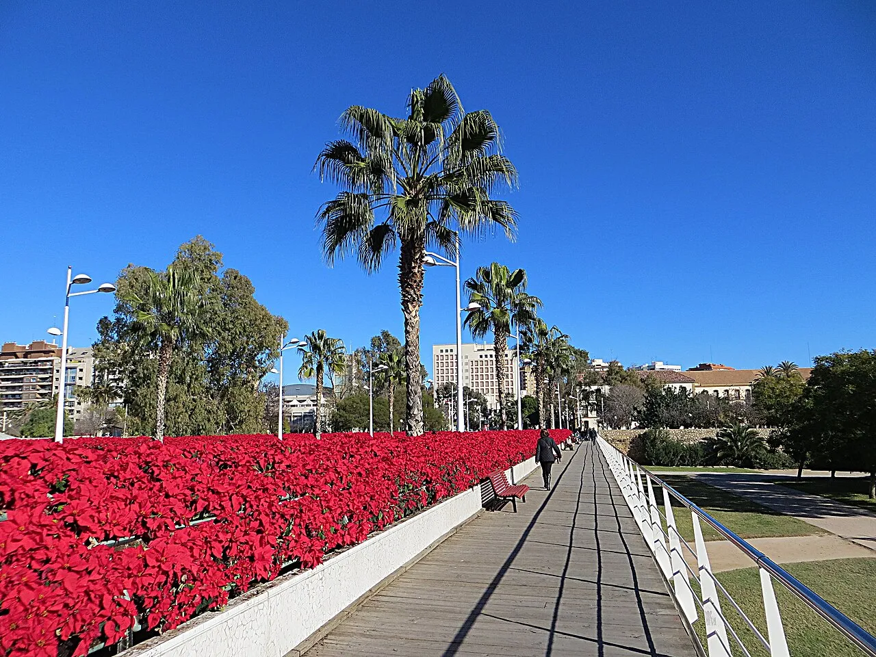 Bridge of Flowers