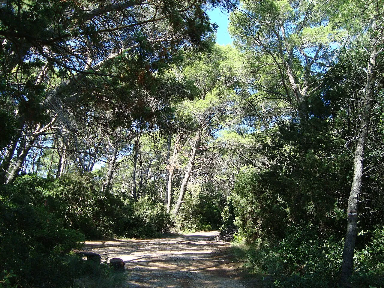 Nacionalni park Mljet