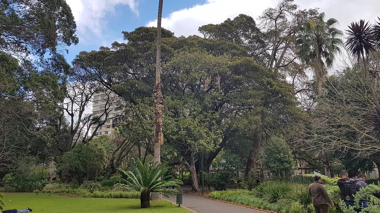 Company's Garden