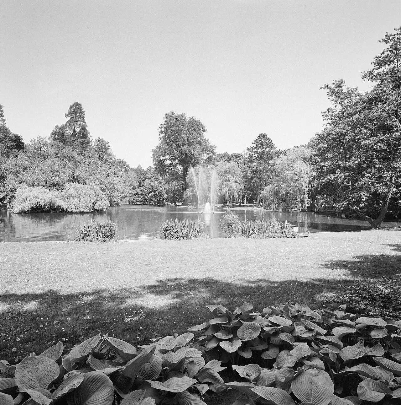 Wilhelmina Park