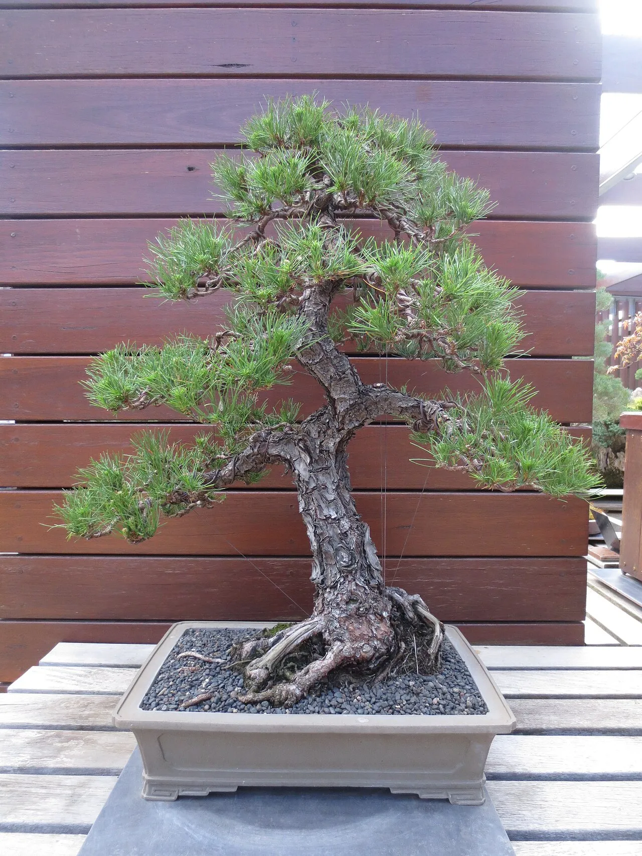 National Arboretum