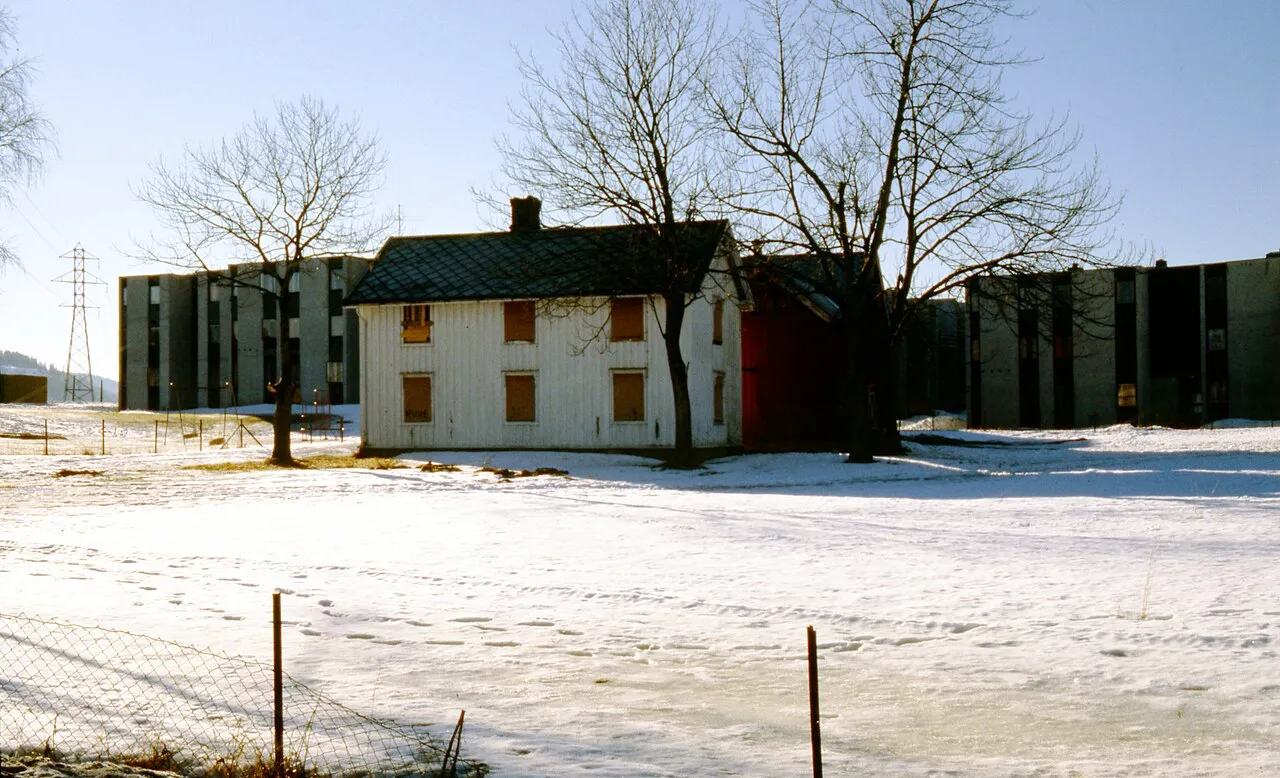 Moholt 50/50
