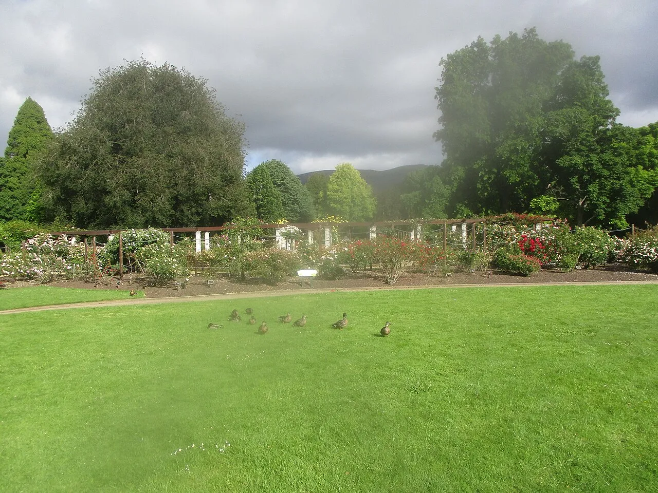 Dunedin Botanic Garden