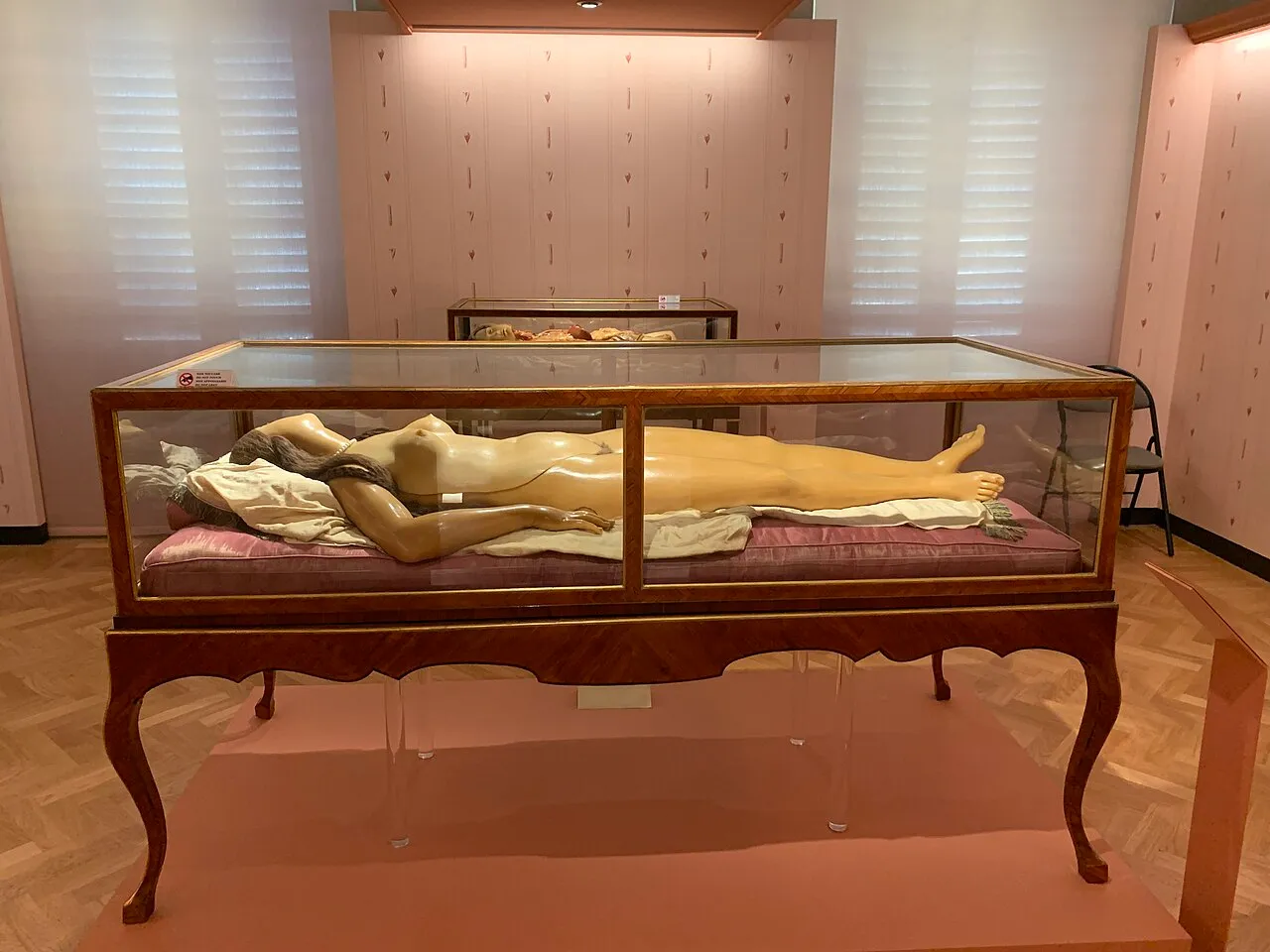 Museo di Storia Naturale - La Specola