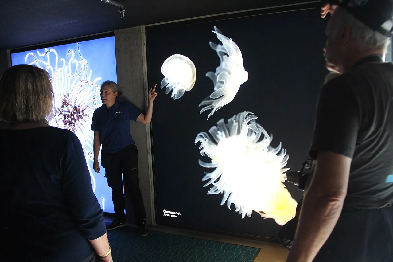Baltic Sea Science Center