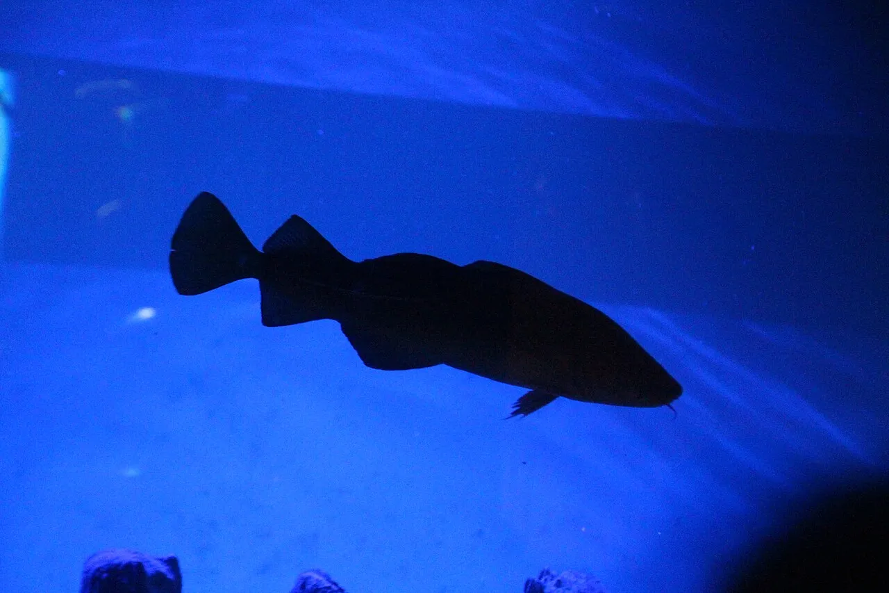 Baltic Sea Science Center
