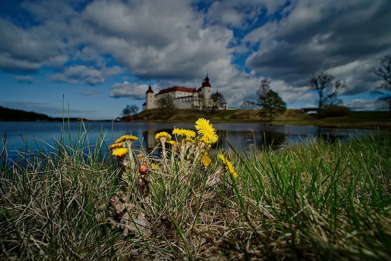 Läckö slott