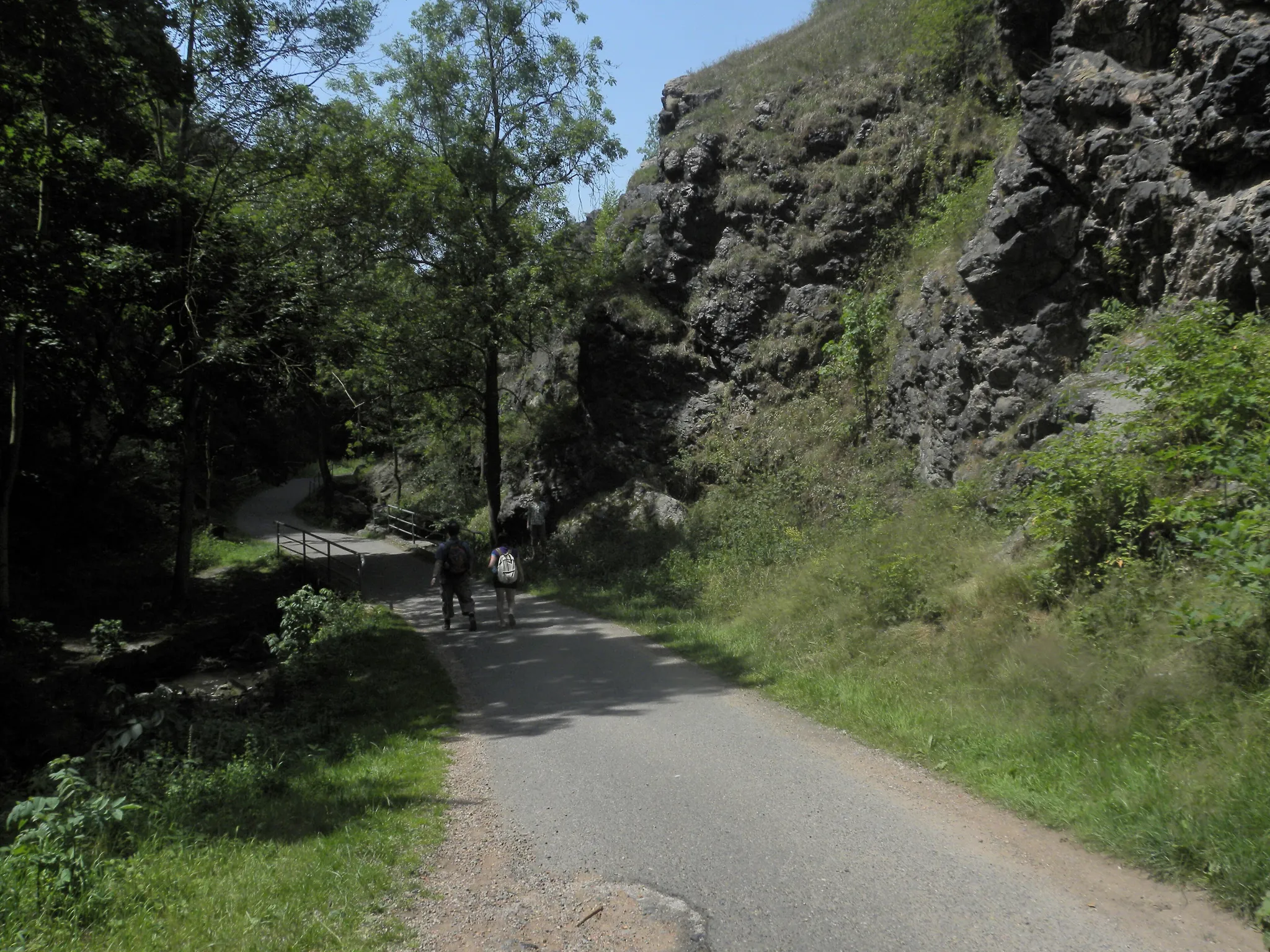 Divoká Šárka