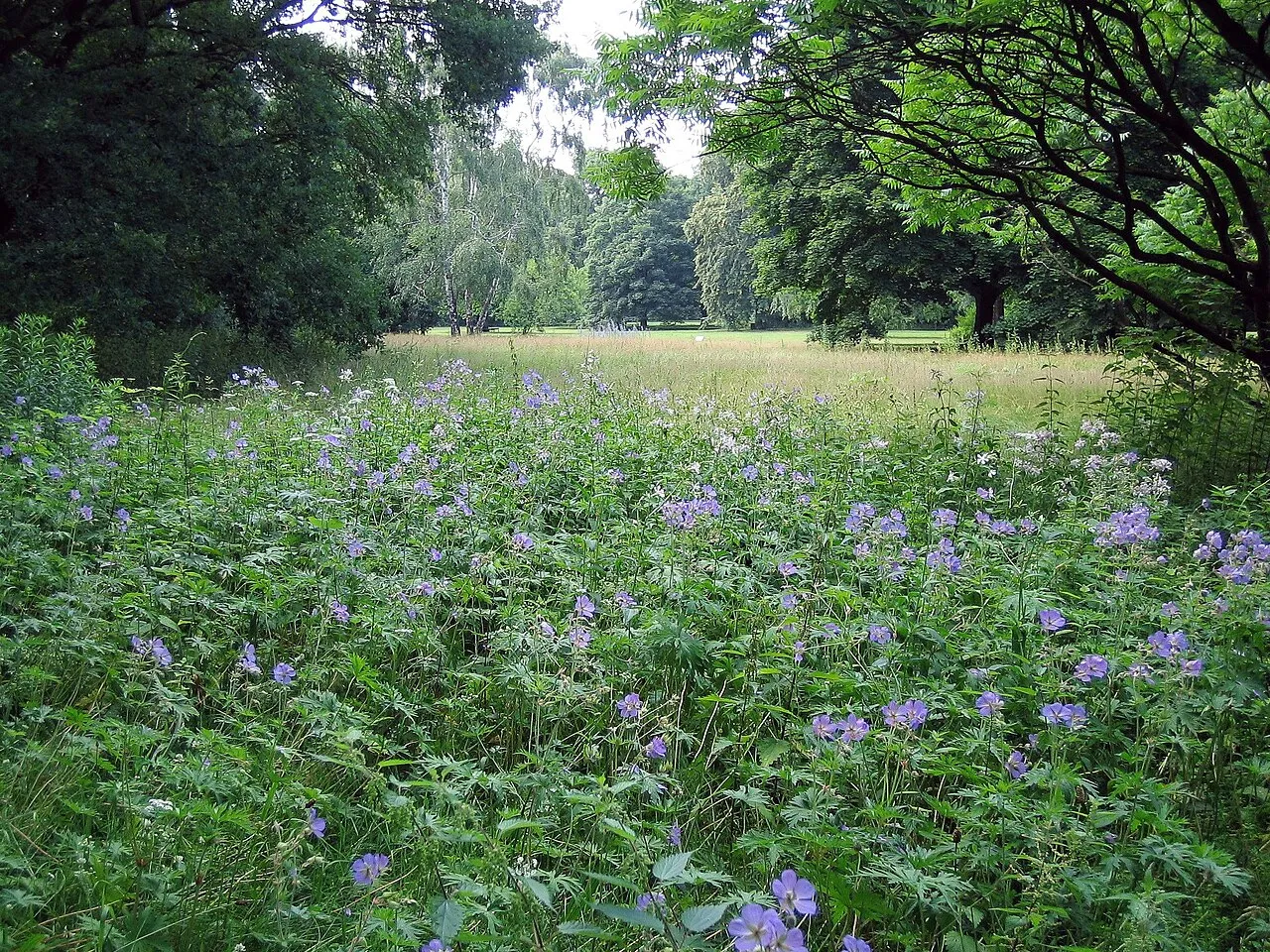 Tiergarten