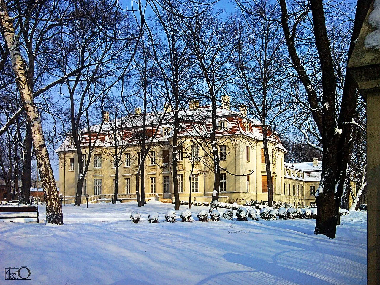 Alfred Biedermann Palace