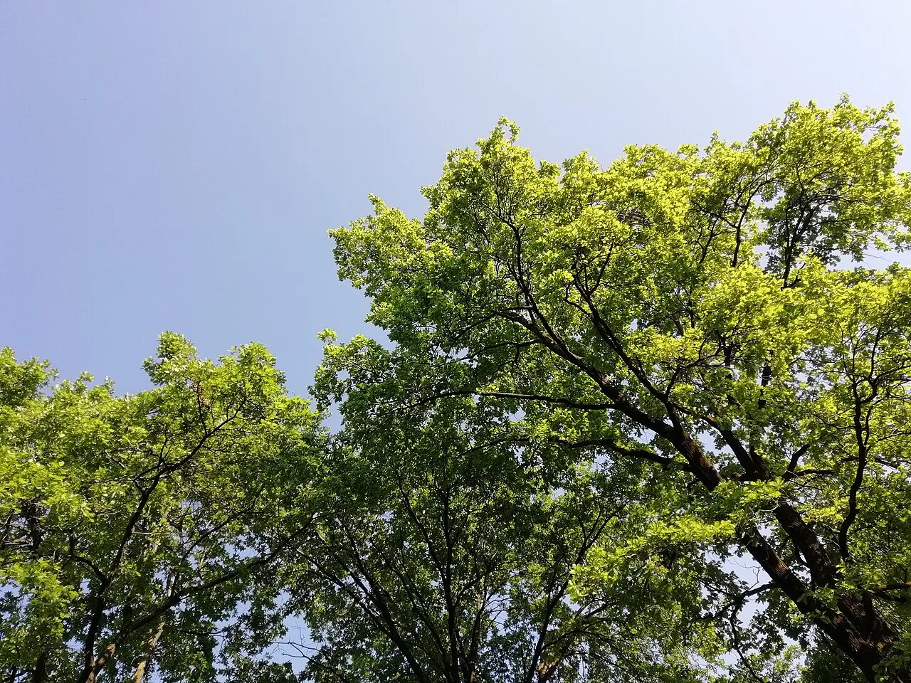 Giardini Pubblici Indro Montanelli