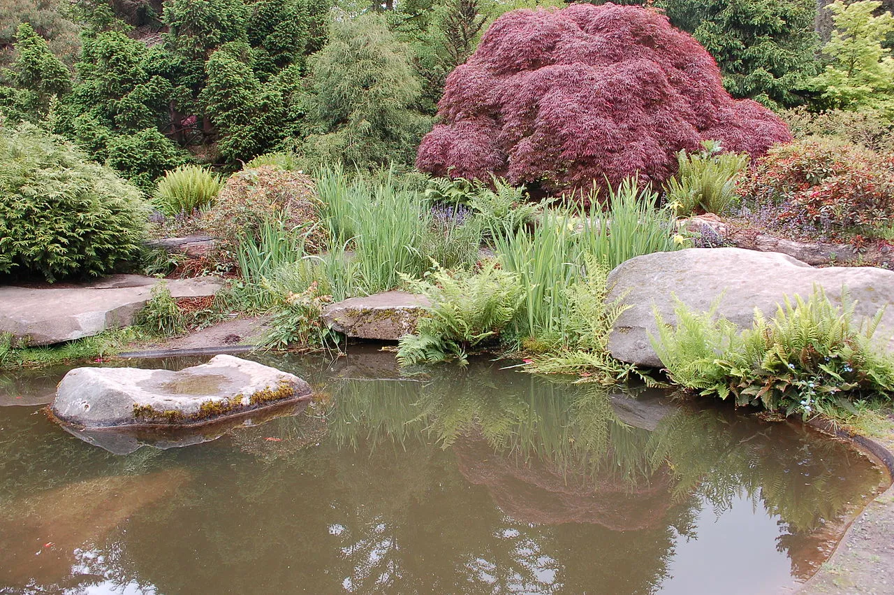 Kubota Garden