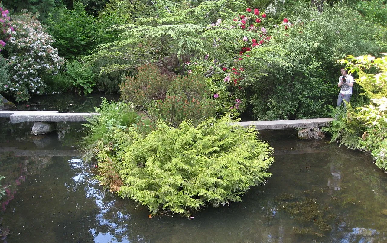Kubota Garden