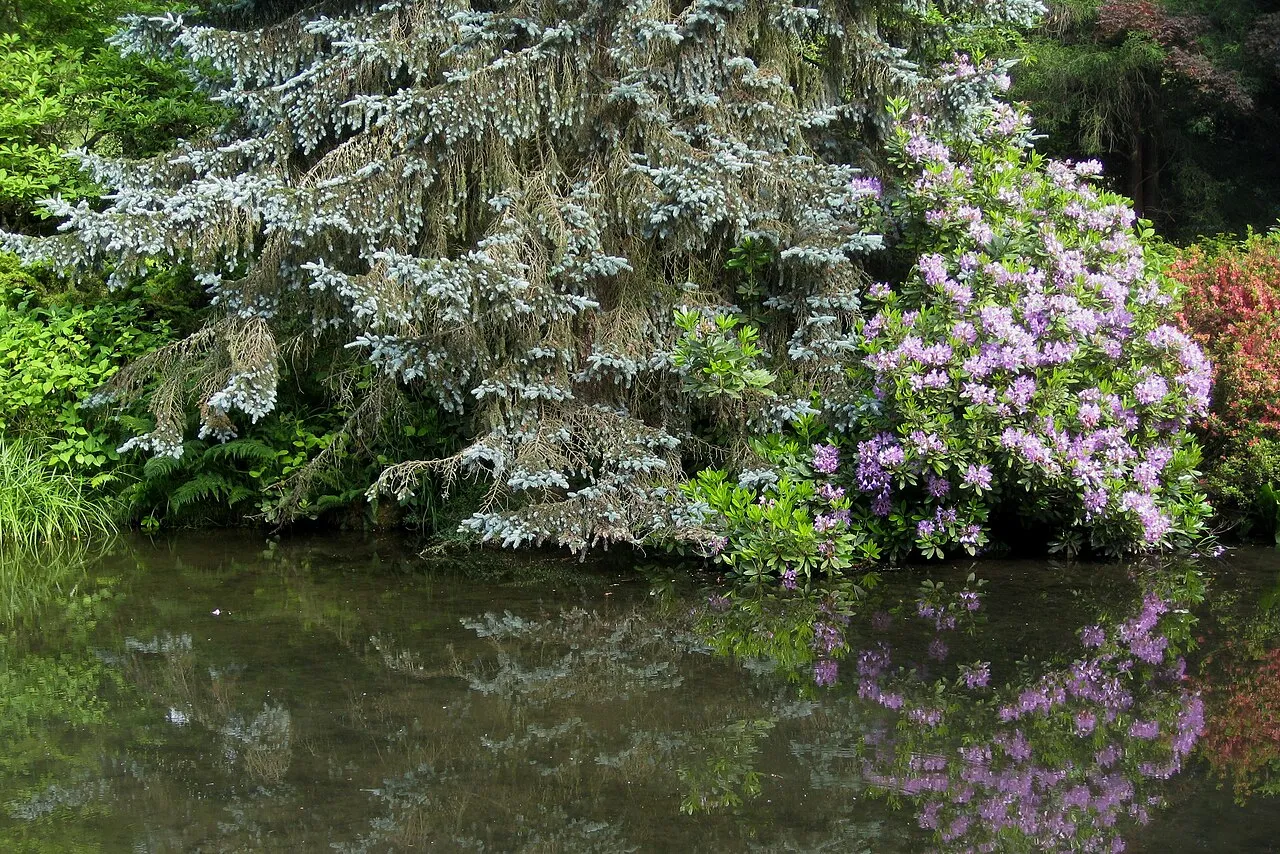 Kubota Garden