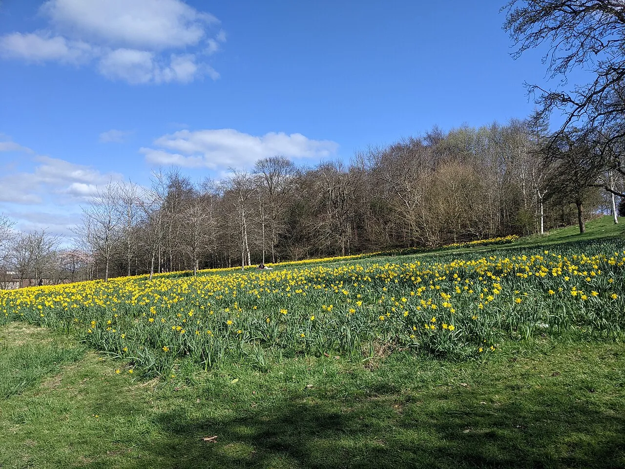 Ruchill Park