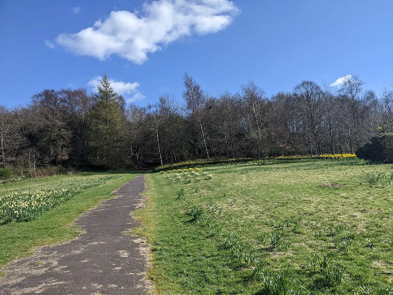 Ruchill Park