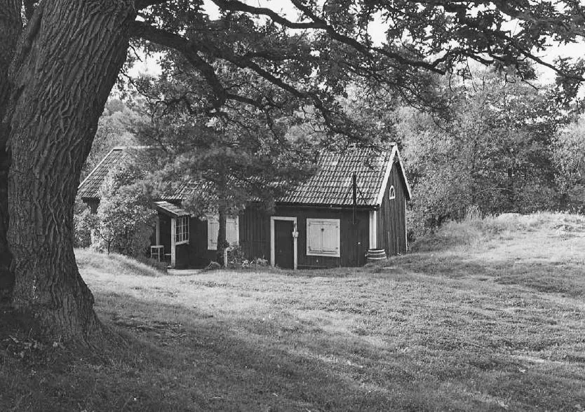Råstock