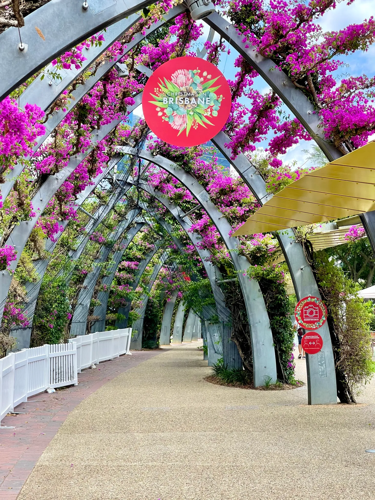 South Bank Arbour