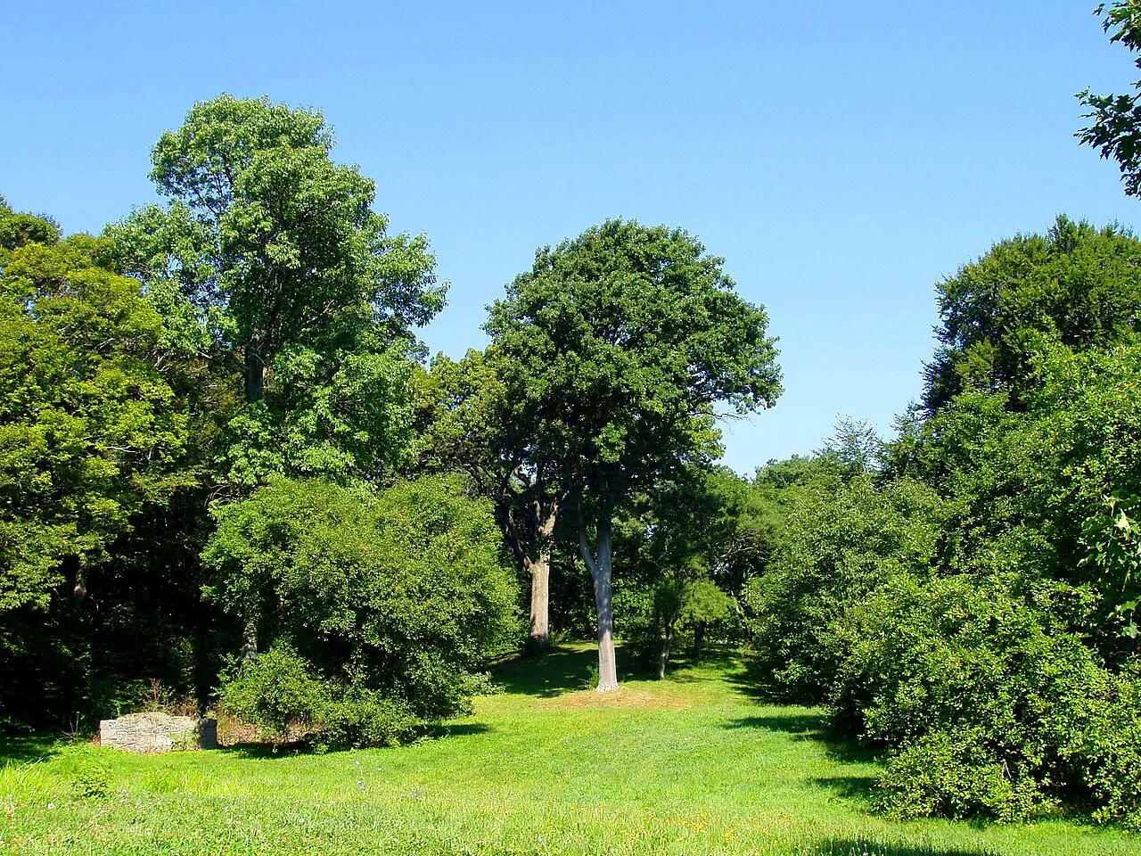 Arnold Arboretum