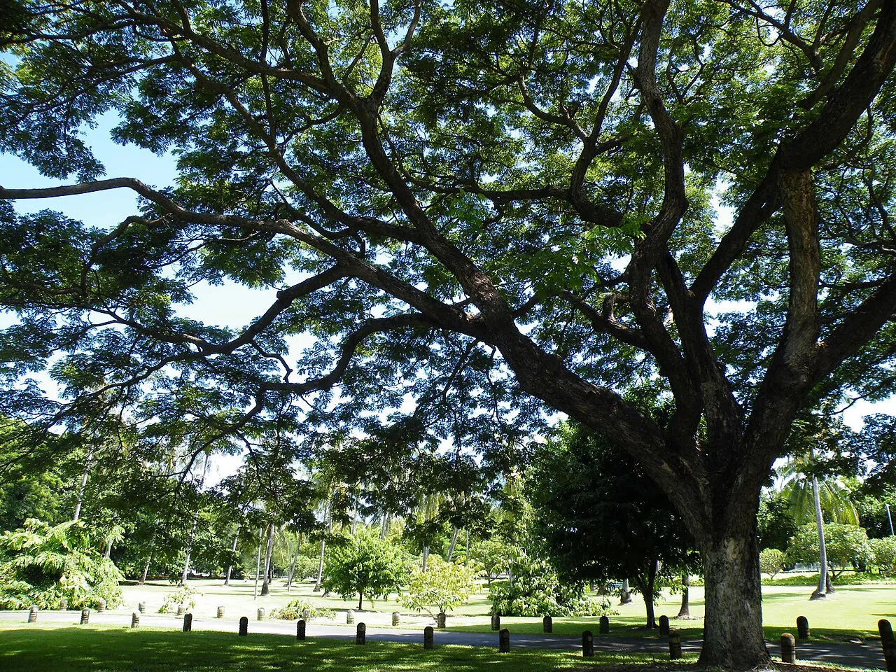George Brown Darwin Botanic Gardens