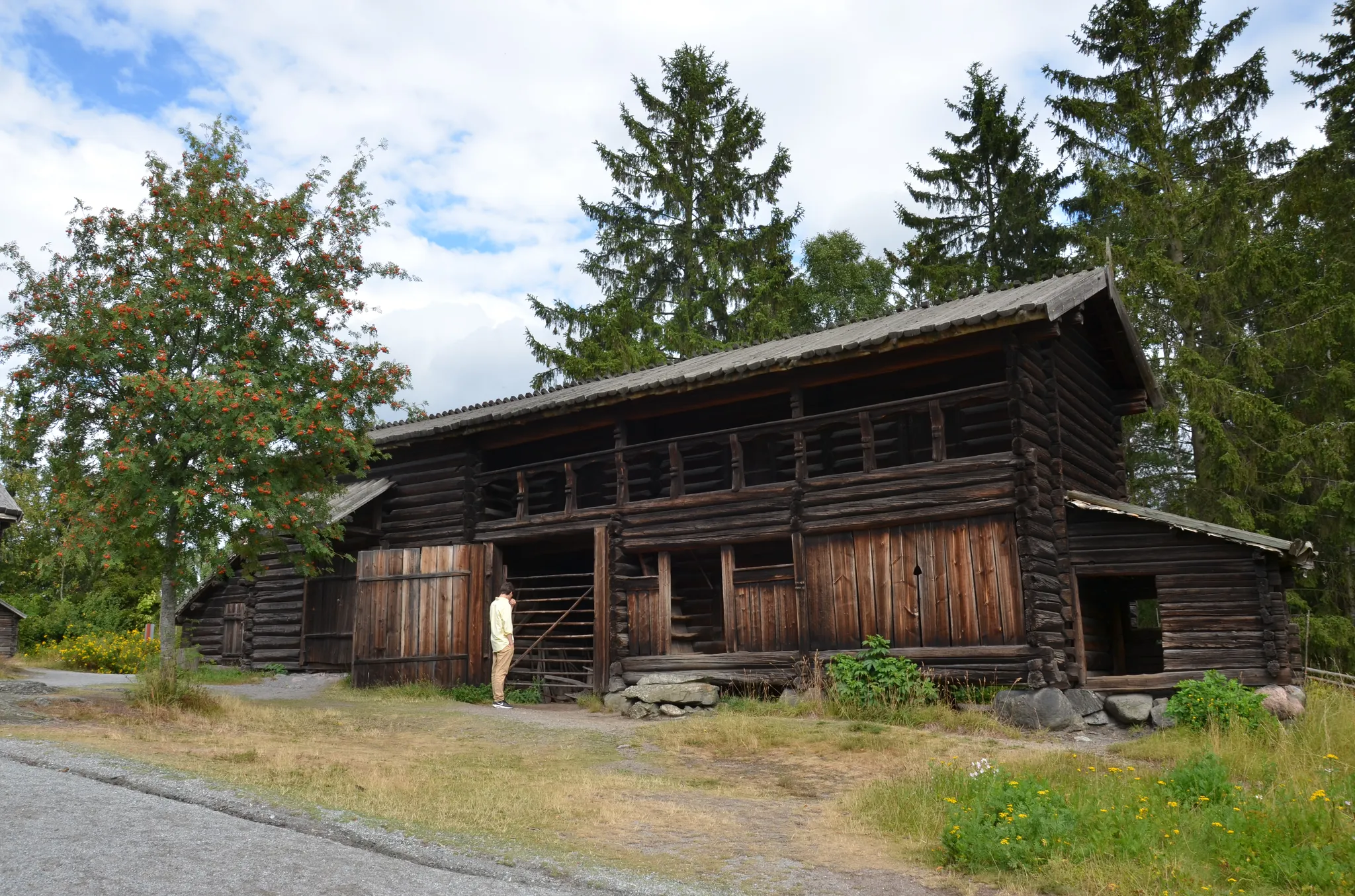 Log- och loftbyggnad
