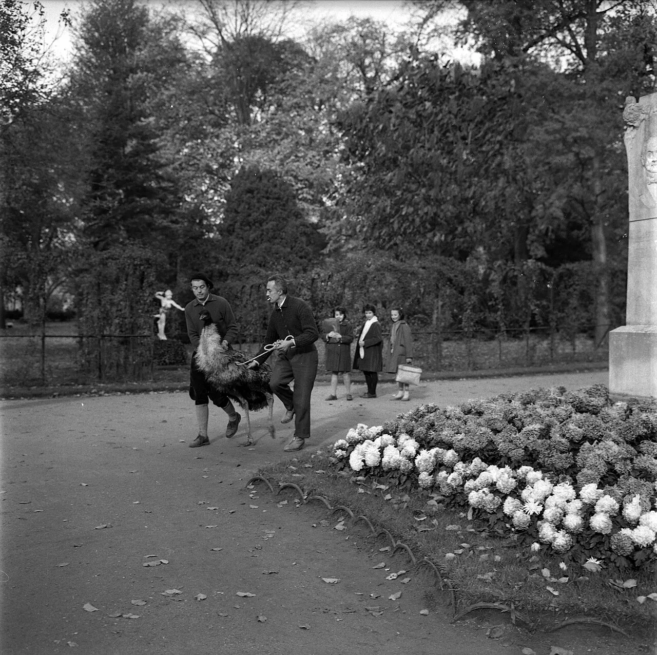 Jardin des Plantes de Toulouse