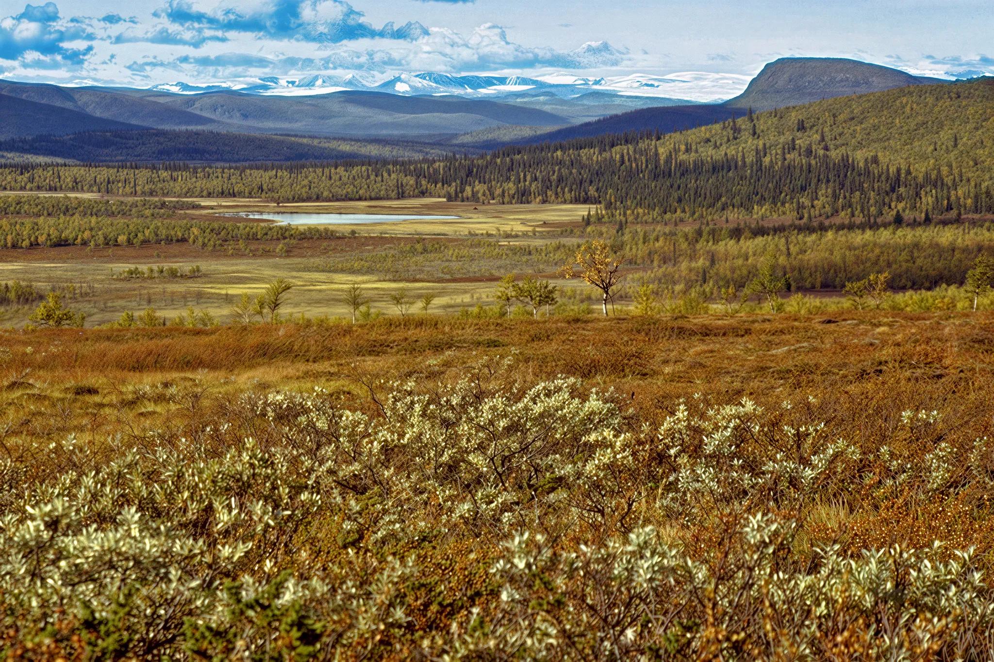 Sjaunja Nature Reserve