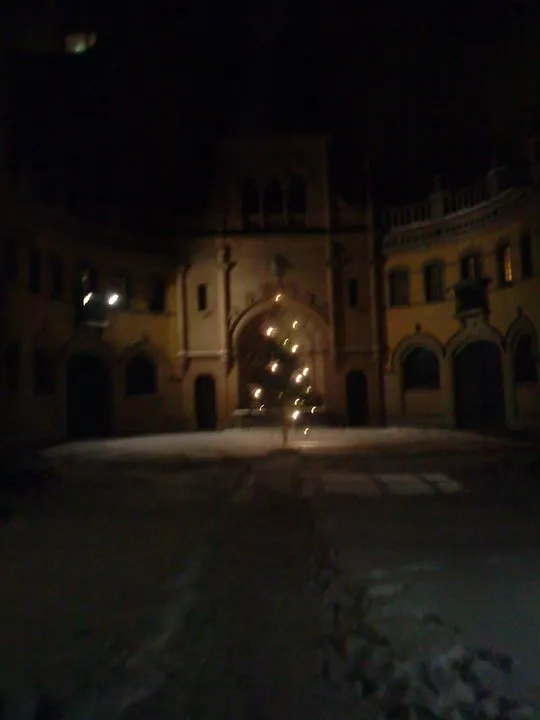 Hallwylska palatset