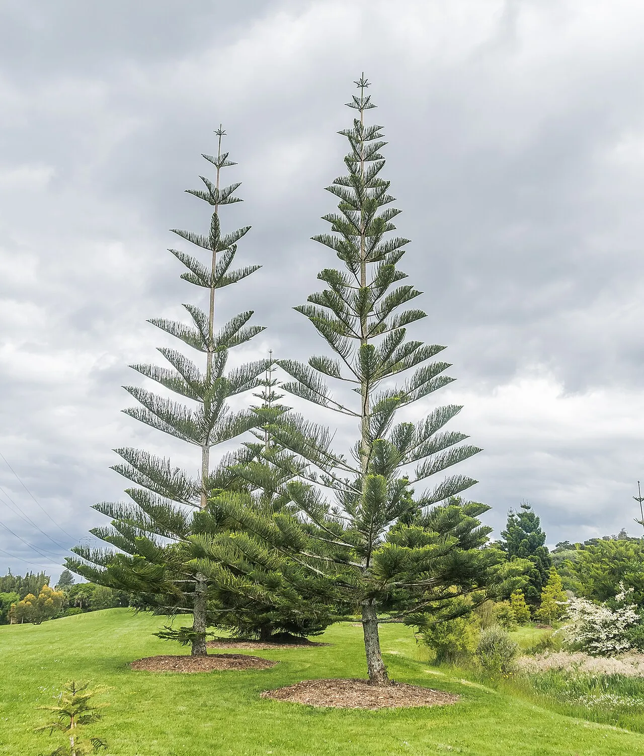 Auckland Botanic Gardens