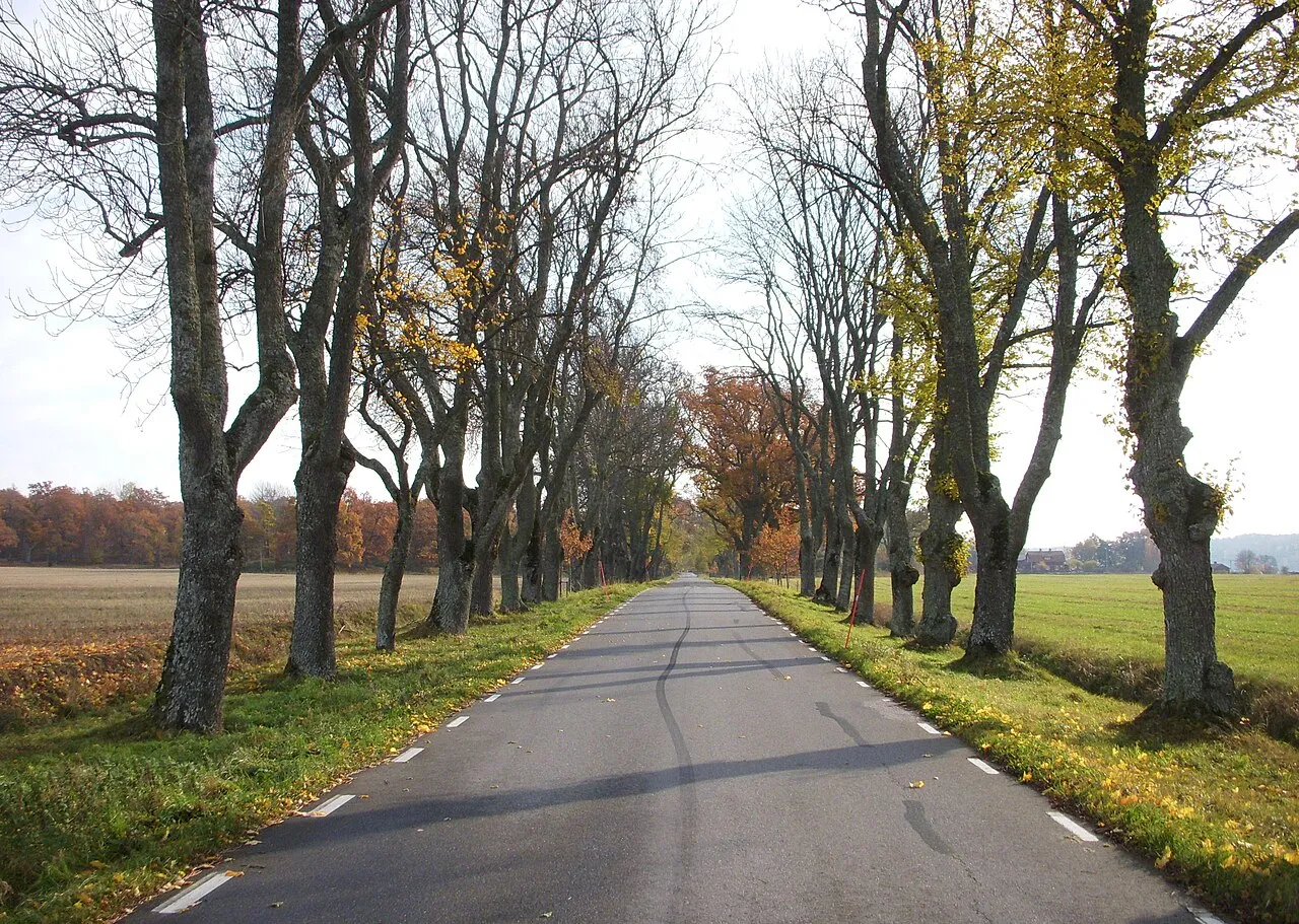 Tullgarn