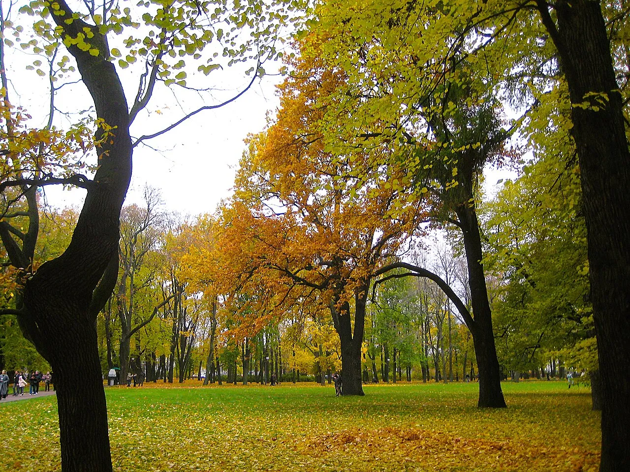 Mikhailovsky Garden