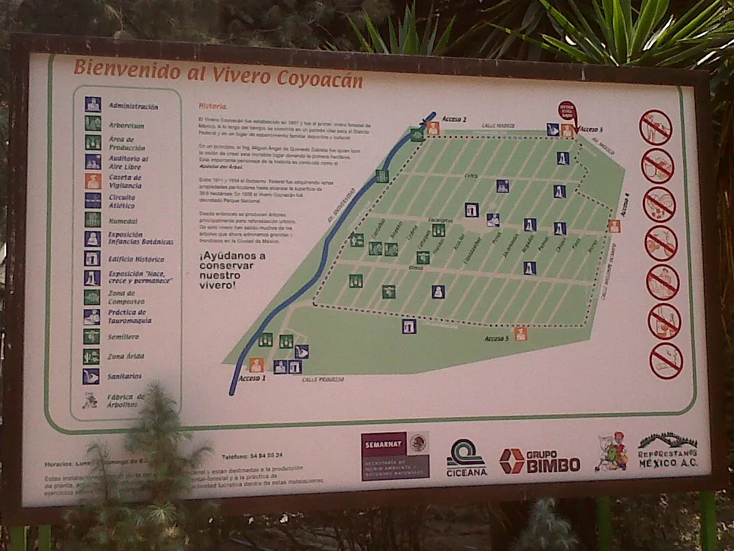 Coyoacan Nurseries
