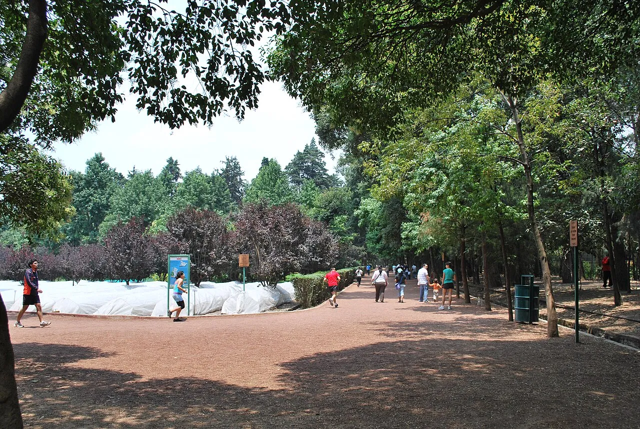 Coyoacan Nurseries