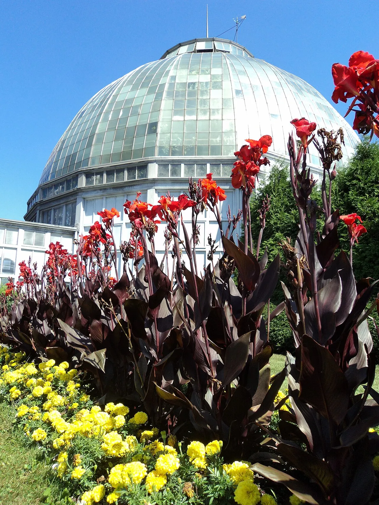 Anna Scripps Whitcomb Conservatory