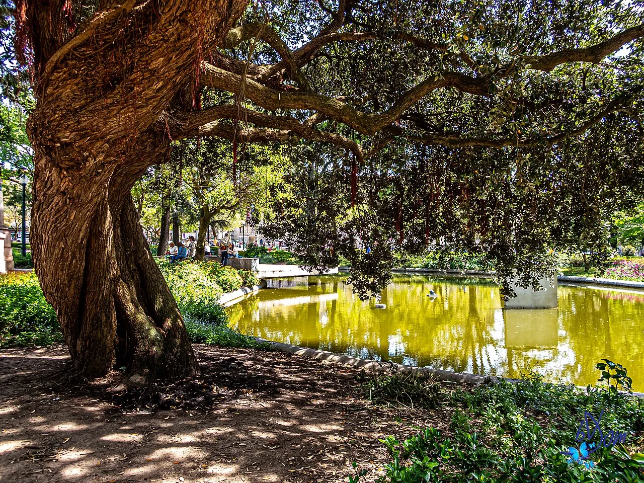 Cordoaria Garden