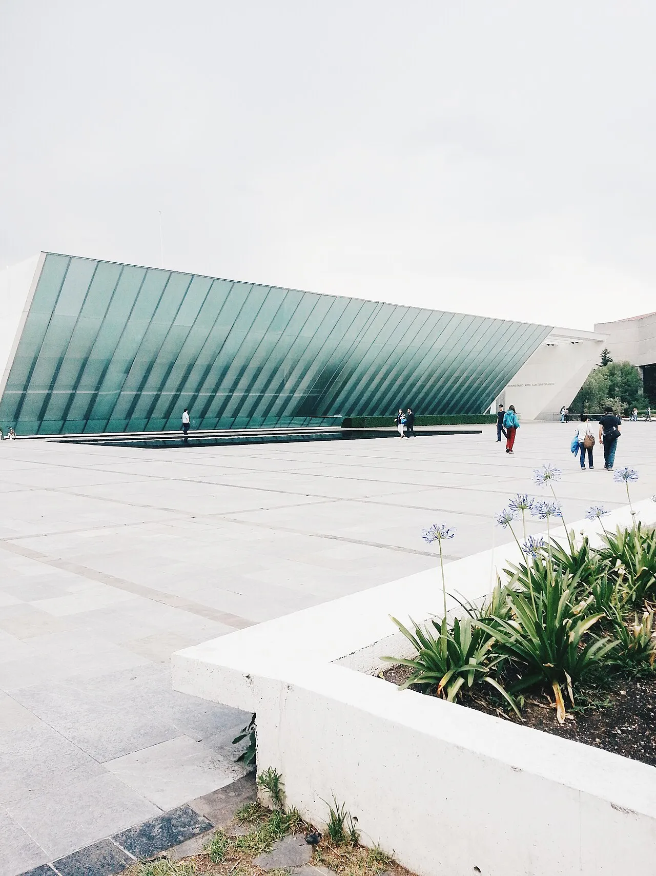 MUAC