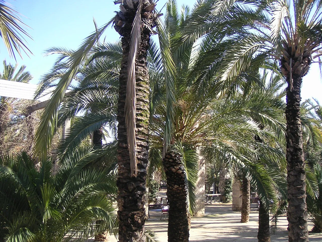Parc de Joan Miró